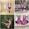 Yescom Yoga Swing Aerial Yoga Inversion Sling with Ceiling Hooks