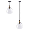 Yescom Pendant Light Glass Globe Shade 7 9/10 in Vintage Classic Clear