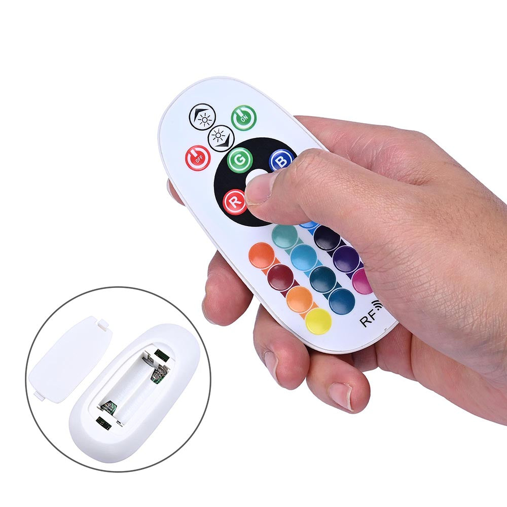 Yescom LED Controller RF Remote for 50ft Neon Rope Light RGB Image