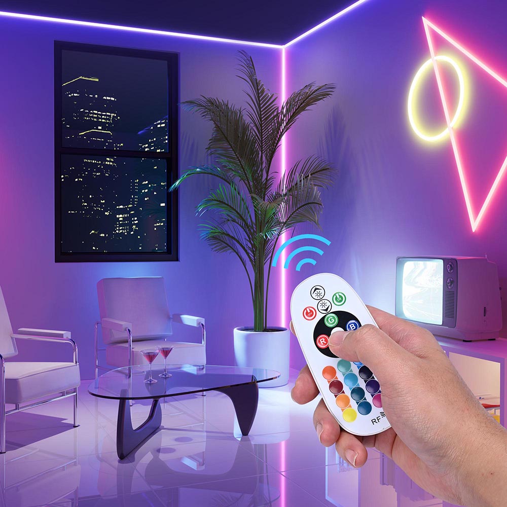 Yescom LED Controller RF Remote for Neon Rope Light RGB Image