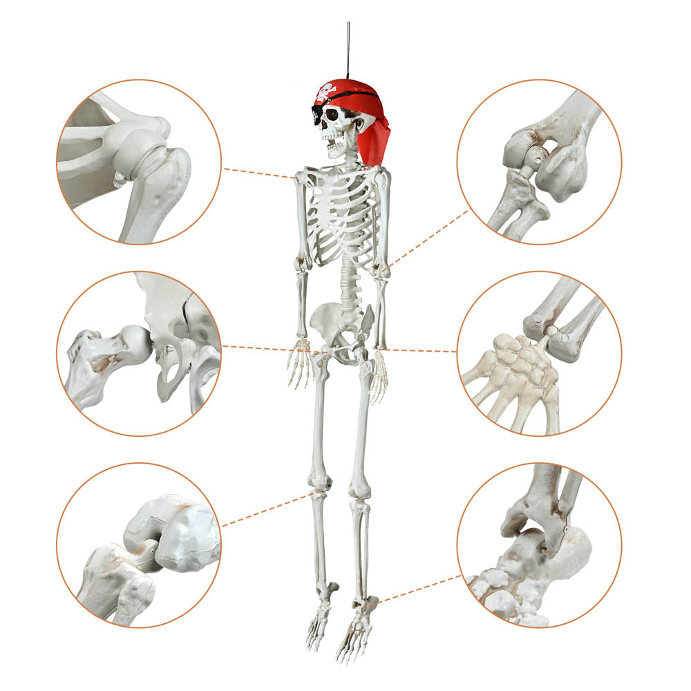 Yescom 5.4ft Skeleton Halloween Decoration Posable Pirate Image