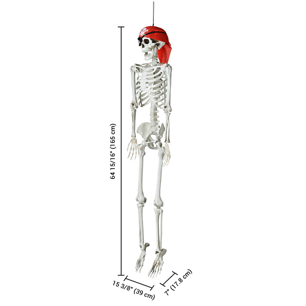 Yescom 5.4ft Skeleton Halloween Decoration Posable Pirate Image