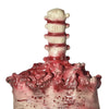 Yescom Halloween Prop Hanging Torso Half Body