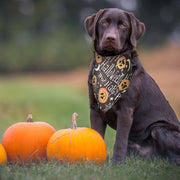 Yescom Halloween Dog Bandanas Washable Dog Handkerchief 10 Pack 32x21 Image