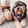 Yescom Halloween Dog Bandanas Washable Dog Handkerchief 10 Pack 32x21