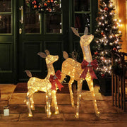 Yescom Outdoor Lighted Reindeer Family 2-piece(Doe & Fawn) Image