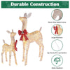 Yescom Outdoor Lighted Reindeer Family 2-piece(Doe & Fawn)