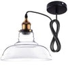 Yescom Pendant Light Glass Shade 11in Industrial Lighting Clear