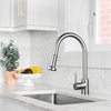 Aquaterior Kitchen Faucet with Pull Out Spray 2.2GPM Brushed Nickel