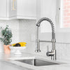 Aquaterior Kitchen Faucet with Sprayer 2.2GPM Brushed Nickel